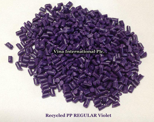 Recycled PP Violet Regular